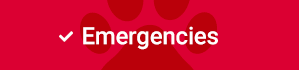 Emergencies | Veterinary Specialty Center of Tucson, Tucson Vet